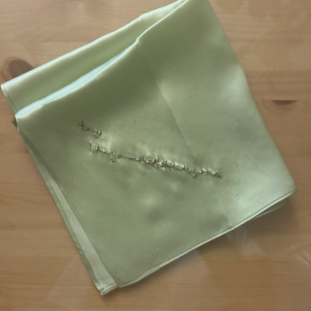 Elegant Silk Scarf in Light Green *READ DESCRIPTION*